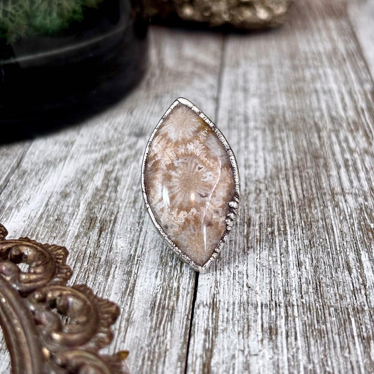 Fossilized Coral Ring Silver Size 5.5 / Foxlark Collection - One of a Kind