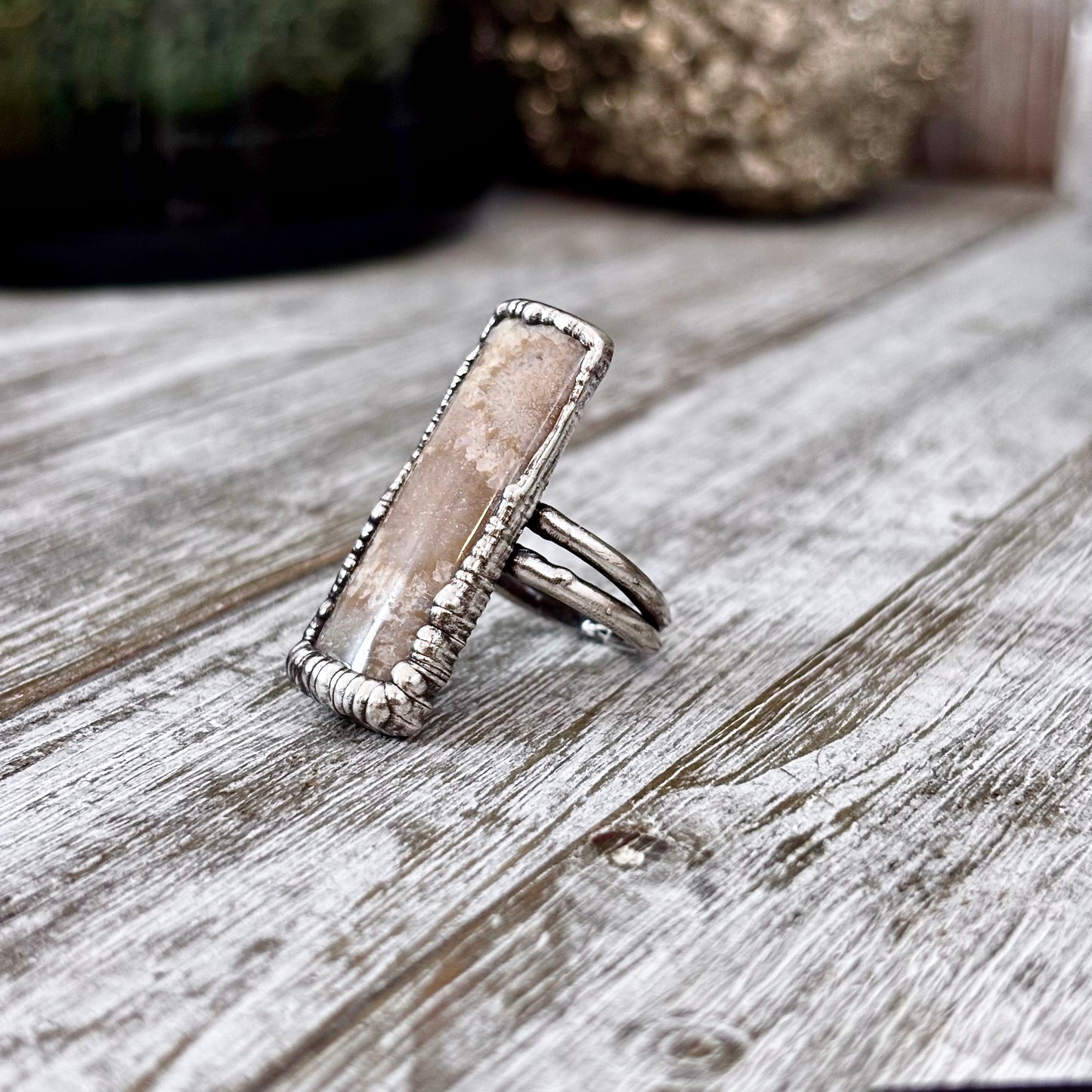 Fossilized Coral Ring Silver Size 9 / Foxlark Collection - One of a Kind