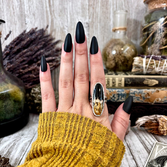 Fossilized Palm Root Ring Size 6.5  / Foxlark Crystal Jewelry Collection