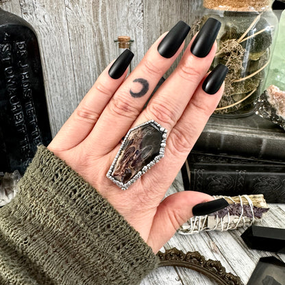 Fossilized Palm Root Coffin Ring Size 9 / Foxlark Collection