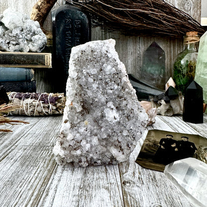 Large Self Standing Druzy Amethyst Geode Crystal Cluster / FoxlarkCrystals