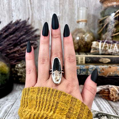 Fossilized Palm Root Ring Size 10 / Foxlark Collection - One of a Kind