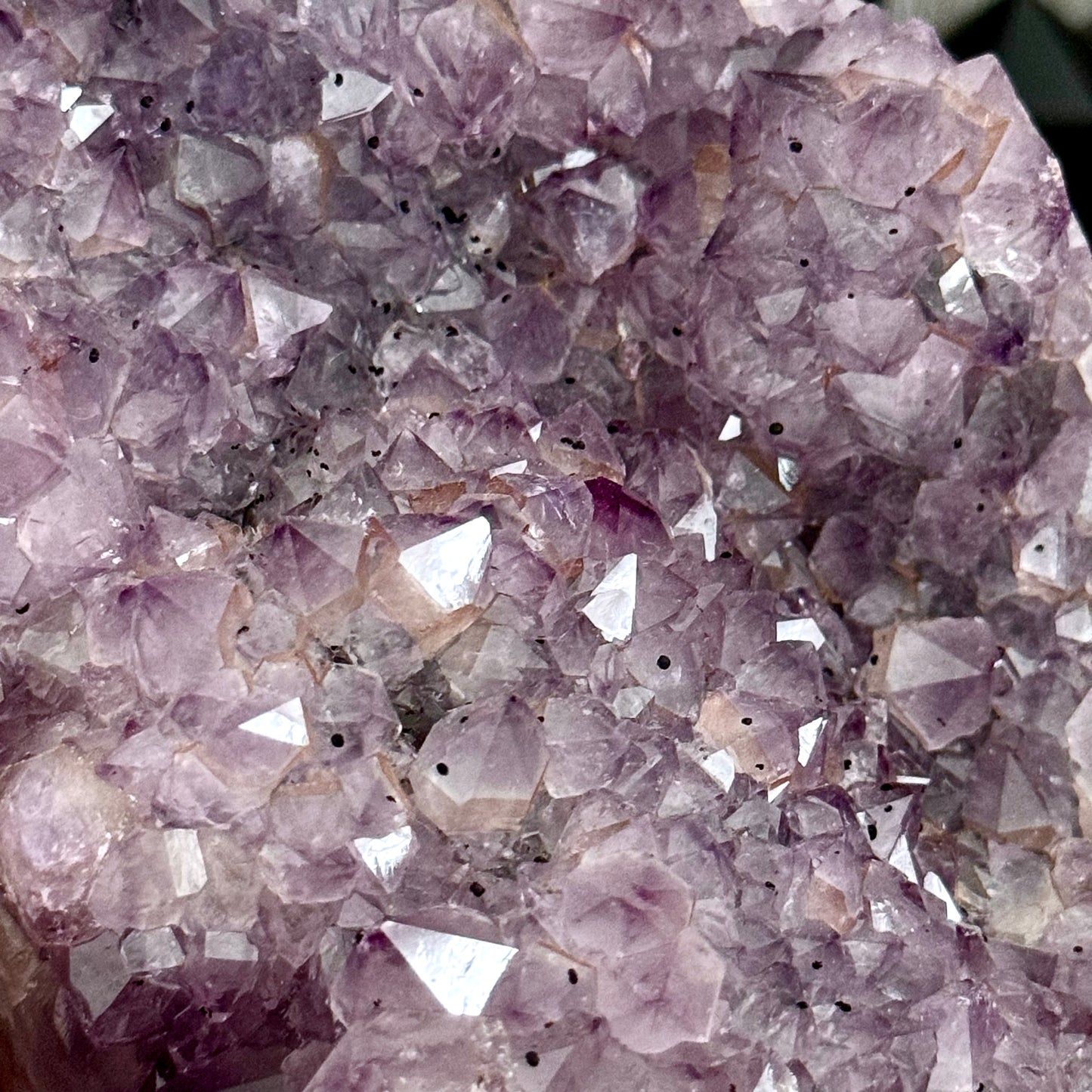 Large Self Standing  Amethyst Geode Crystal Cluster / FoxlarkCrystals