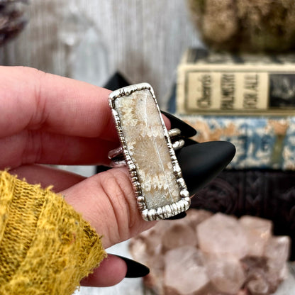 Fossilized Coral Ring Silver Size 9 / Foxlark Collection - One of a Kind