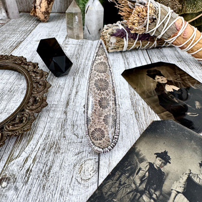 Big Fossilized Coral Crystal Ring Fine Silver Size 9.5 / Foxlark Collection - One of a Kind