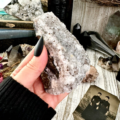 Large Self Standing Druzy Amethyst Geode Crystal Cluster / FoxlarkCrystals