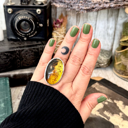 The Colossal Collection - Baltic Amber Ring Fine Silver Size 7.5 / One of a Kind FOXLARK