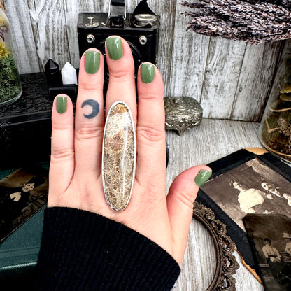 The Colossal Collection - Fossilized Coral Crystal Ring Fine Silver Size 10 / Foxlark Collection - One of a Kind FOXLARK