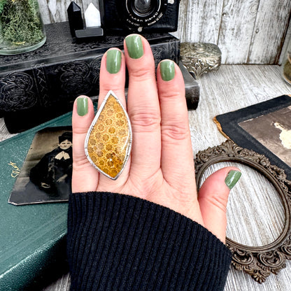 The Colossal Collection - Fossilized Coral Crystal Ring Fine Silver Size 7 / Foxlark Collection - One of a Kind FOXLARK