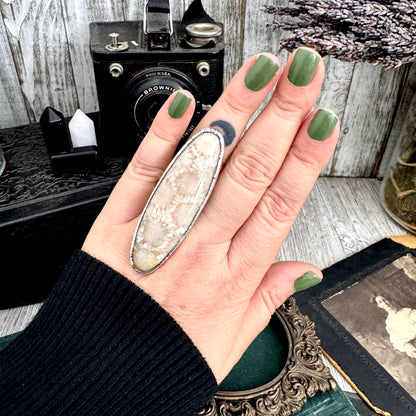 The Colossal Collection - Fossilized Coral Ring Fine Silver Size 8 / One of a Kind FOXLARK