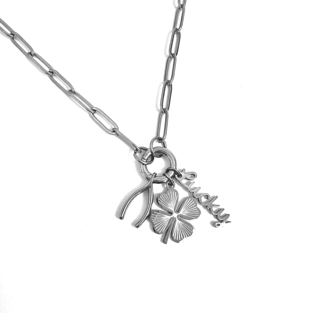 The Everyone's Obsessed Charm Collector Necklace - Paperclip Carabiner Chain from the Lucky Charm Bar by Foxlark