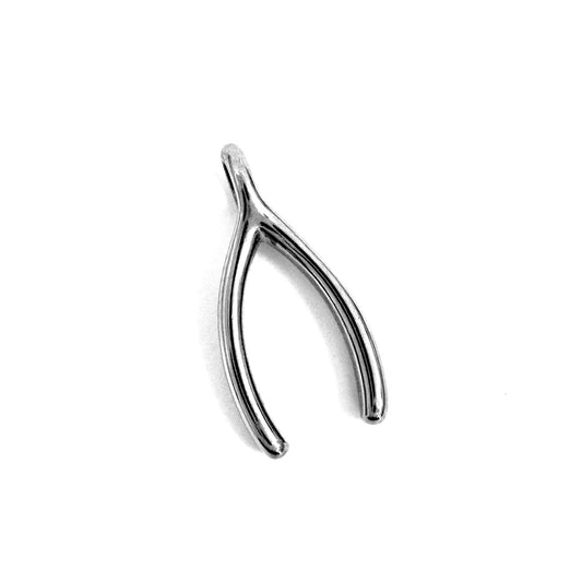 Wishbone Charm stainless steel lucky pendant necklace from the Lucky Charm Bar at Foxlark