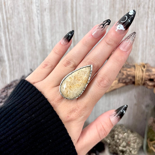 Fossilized Coral Crystal Ring Fine Silver Size 8 / Foxlark Collection - One of a Kind