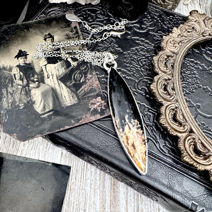 Fossilized Palm Root Necklace in Fine Silver / Foxlark Collection - One of a Kind