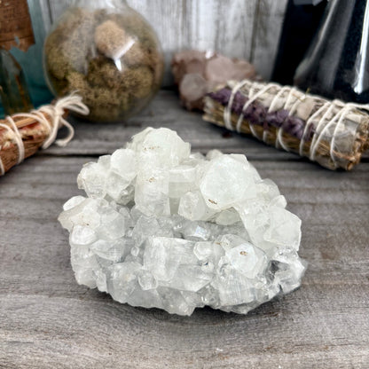 Apophyllite Crystal Cluster / FoxlarkCrystals