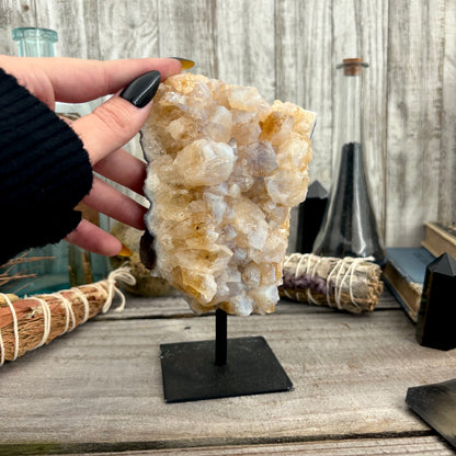 Large Yellow Citrine Crystal Geode With Stand / FoxlarkCrystals