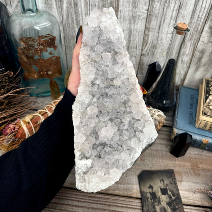 Large Self Standing  Amethyst Geode Crystal Cluster / FoxlarkCrystals