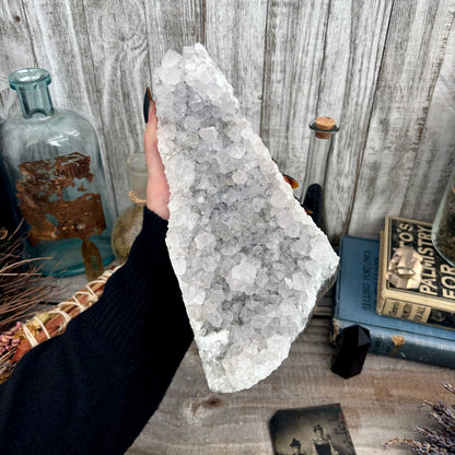 Large Self Standing  Amethyst Geode Crystal Cluster / FoxlarkCrystals