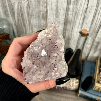 Self Standing Amethyst Geode Crystal Cluster / FoxlarkCrystals