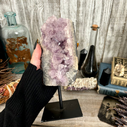 Large Purple Amethyst Crystal Druzy Geode With Stand / FoxlarkCrystals