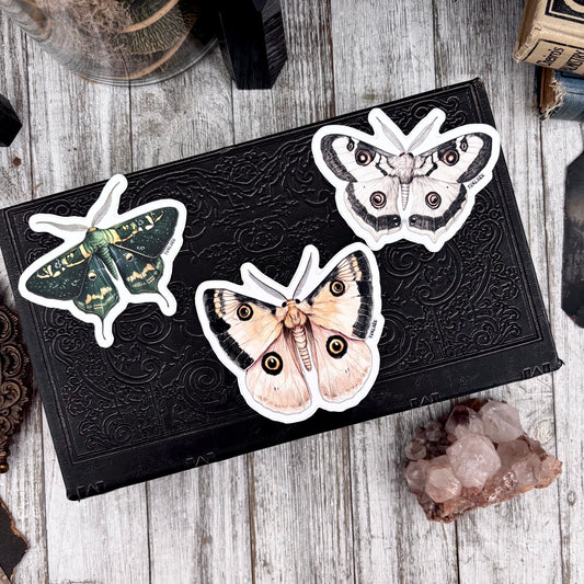 Moth Sticker Set