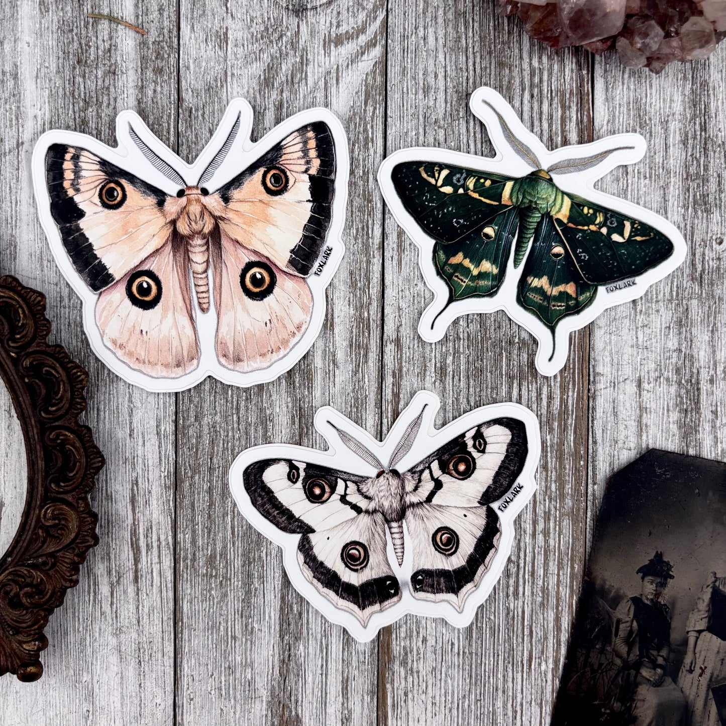 Moth Sticker Set