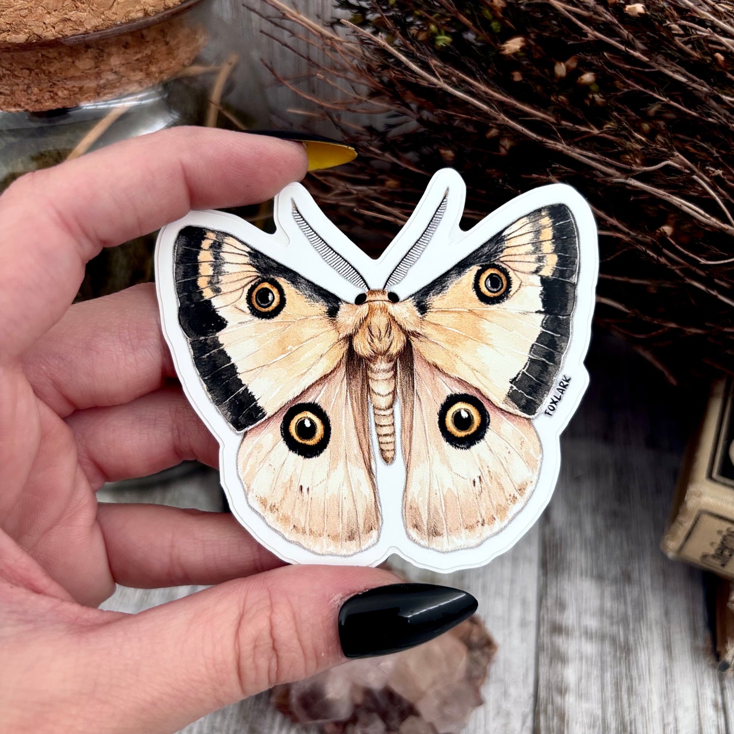 Moth Sticker Set