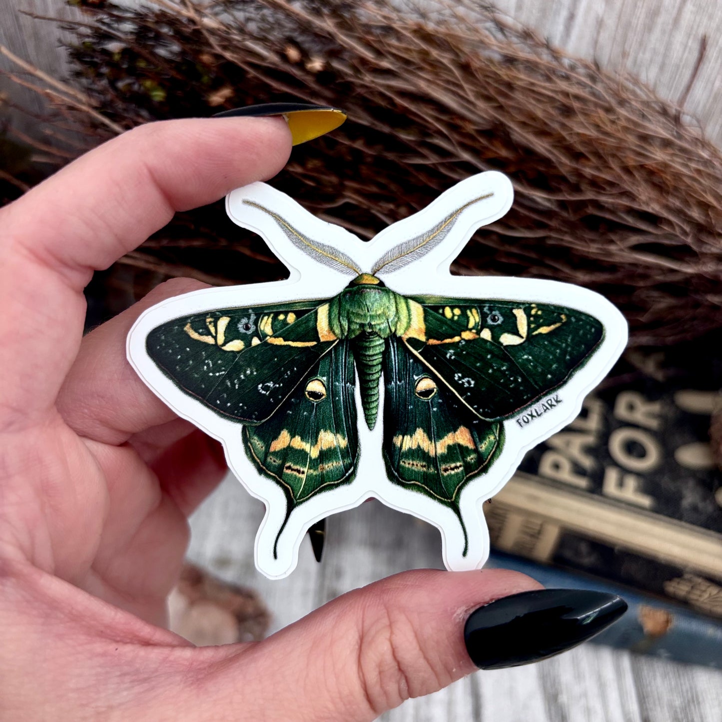 Moth Sticker Set