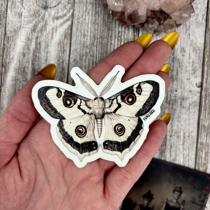 Moth Sticker Set