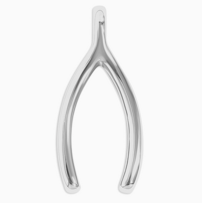 Wishbone Charm stainless steel lucky pendant necklace from the Lucky Charm Bar at Foxlark