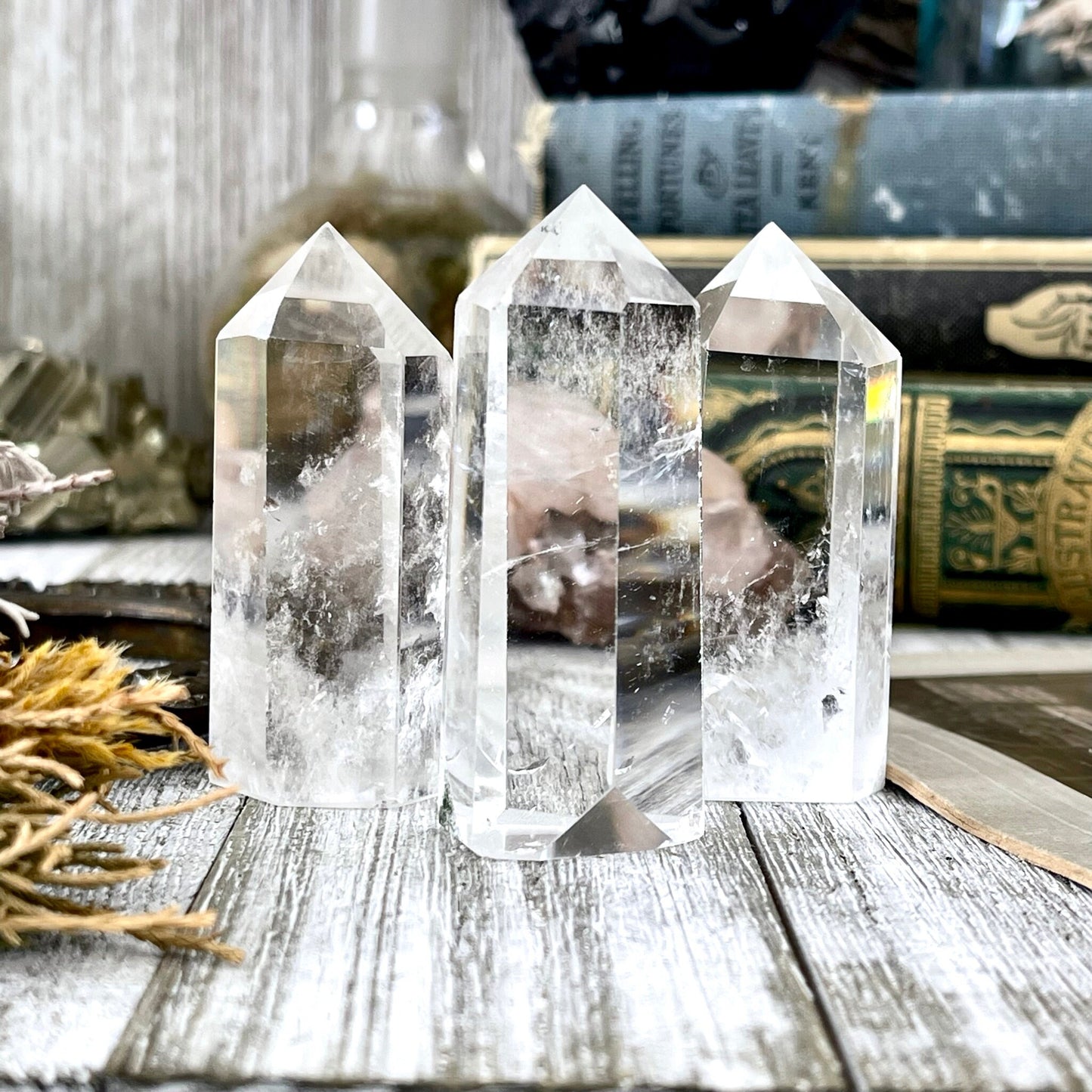 Self Standing Clear Quartz Crystal Point / FoxlarkCrystals