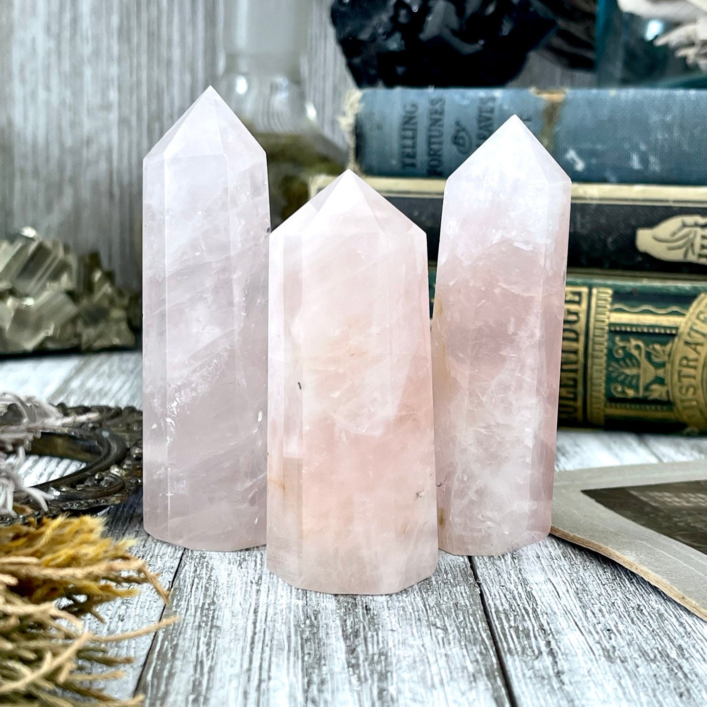 Self Standing Pink Rose Quartz Crystal Point / FoxlarkCrystals