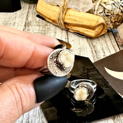 Tooth Ring Silver Size 7 8 9 10 11 Faux Resin Tooth Jewelry / Foxlark Collection