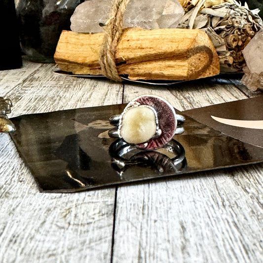 Tooth Ring Silver Size 7 8 9 10 11 Faux Resin Tooth Jewelry / Foxlark Collection