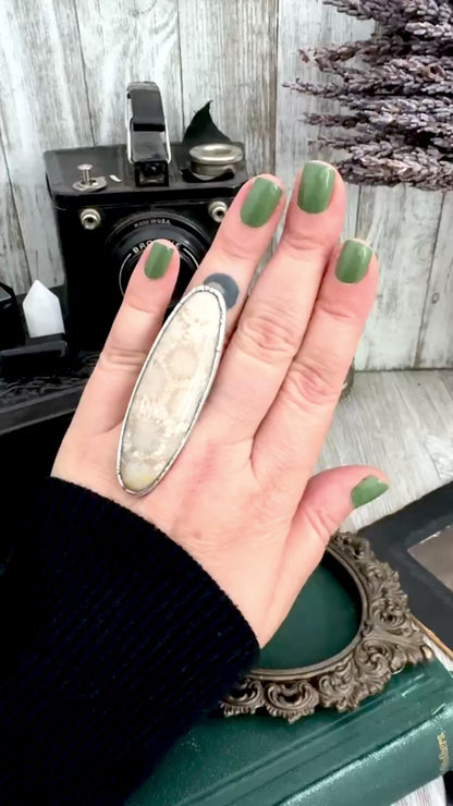 The Colossal Collection - Fossilized Coral Ring Fine Silver Size 8 / One of a Kind