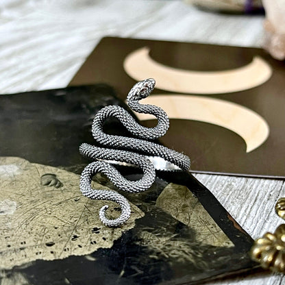 Snake Ring in Sterling Silver Adjustable / Tiny Talismans Collection.