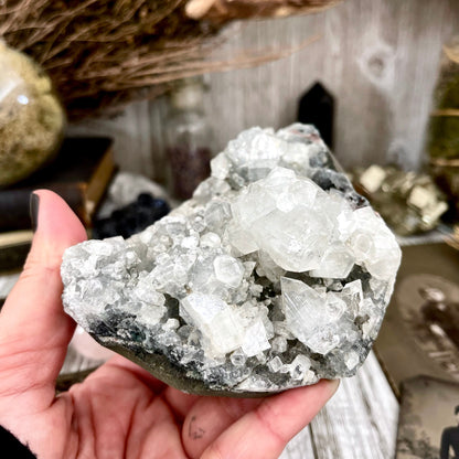 Apophyllite Crystal Cluster / FoxlarkCrystals.