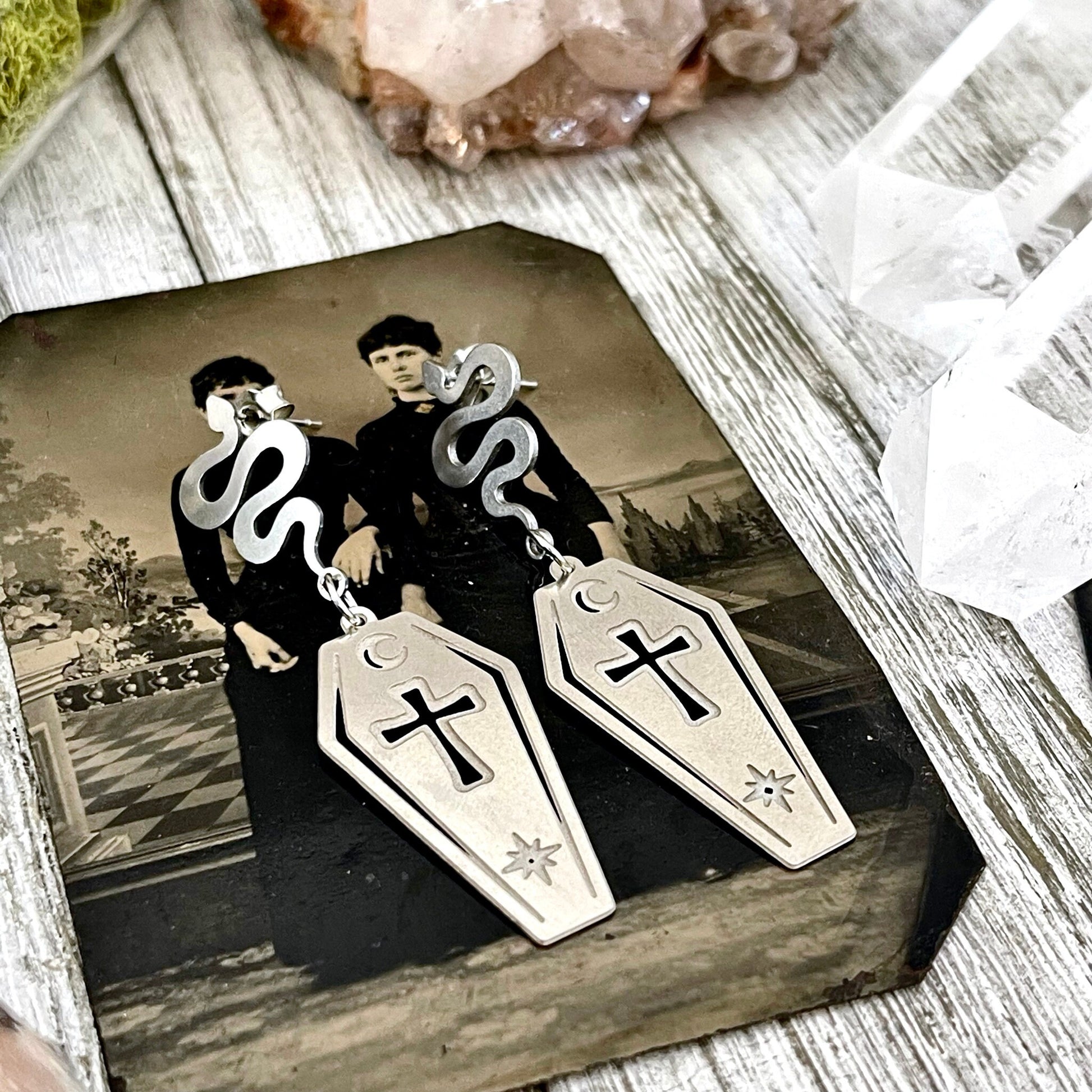Coffin and Snake Earrings in Stainless Steel Earrings / Hypoallergenic Gothic Earring.