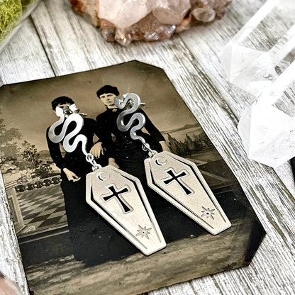 Coffin and Snake Earrings in Stainless Steel Earrings / Hypoallergenic Gothic Earring.