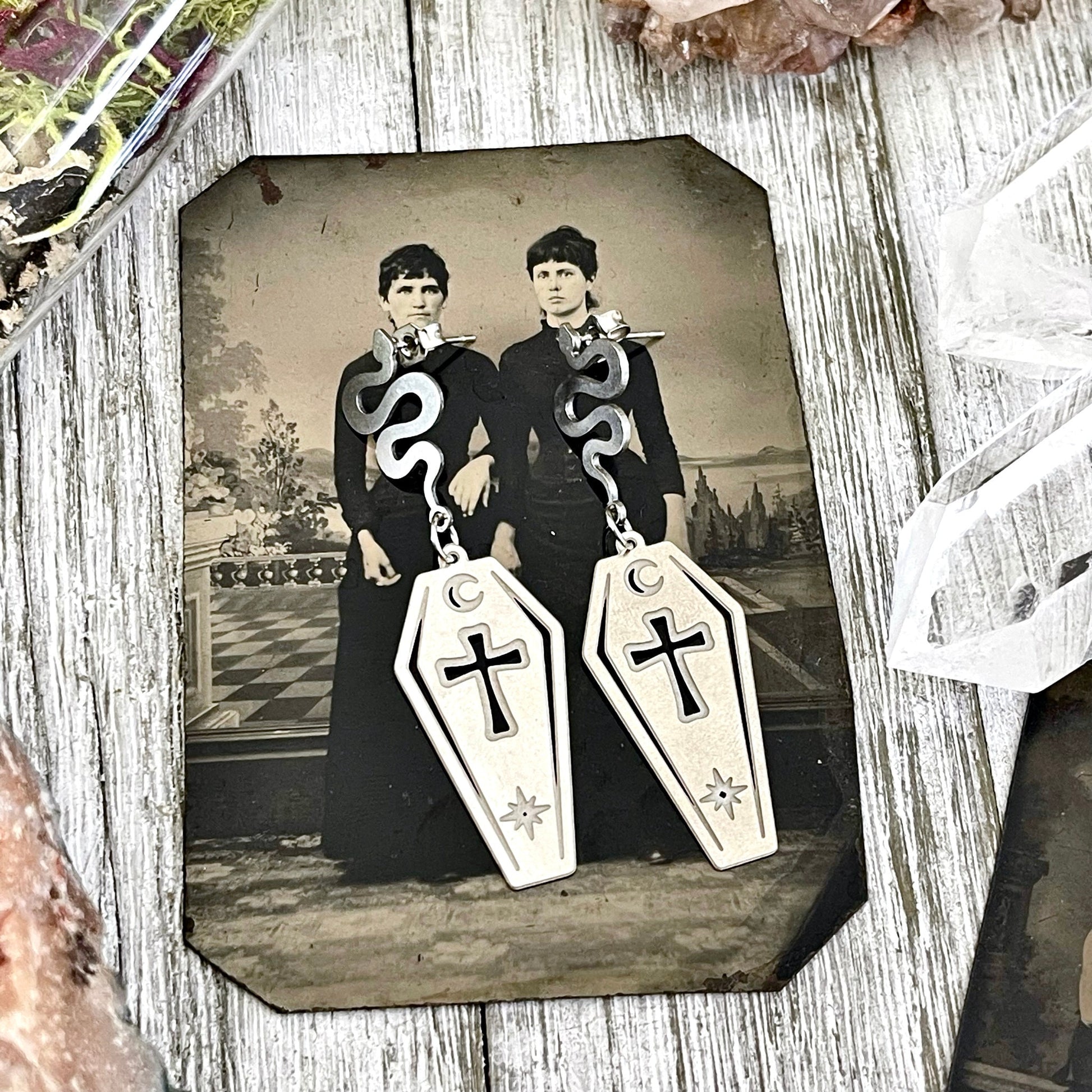 Coffin and Snake Earrings in Stainless Steel Earrings / Hypoallergenic Gothic Earring.